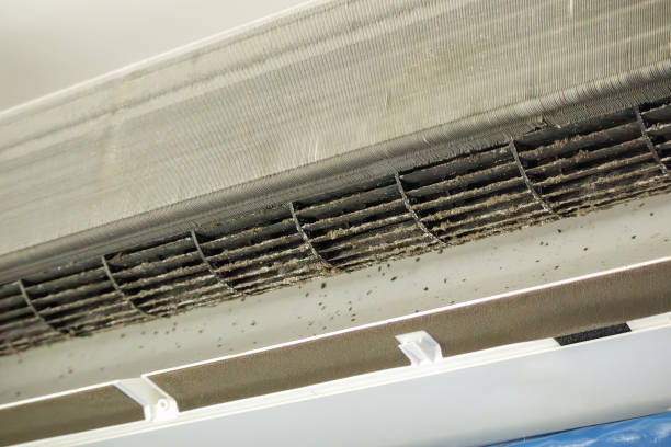 Best Professional Duct Cleaning Services  in Brownsburg, IN